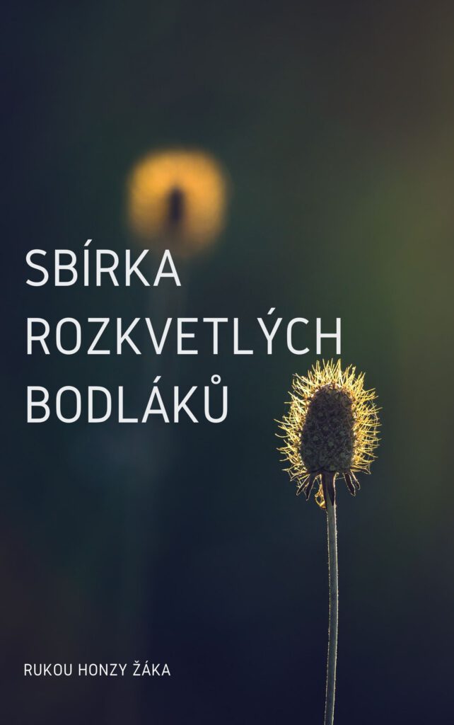 Sbírka rozkvetlých bodlaků